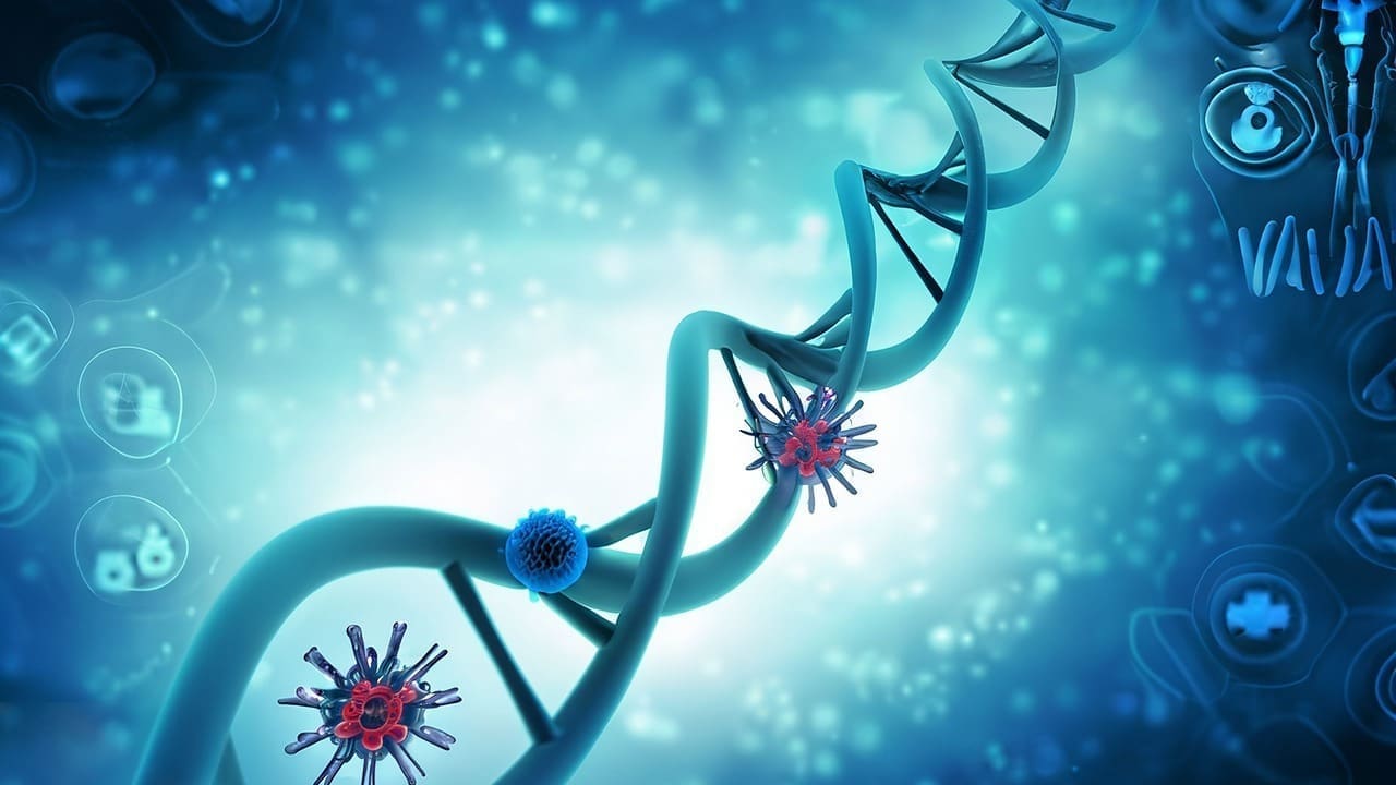 How is Bone Marrow Extracted? Stem Cell Harvesting 2 Bone Marrow Extracted