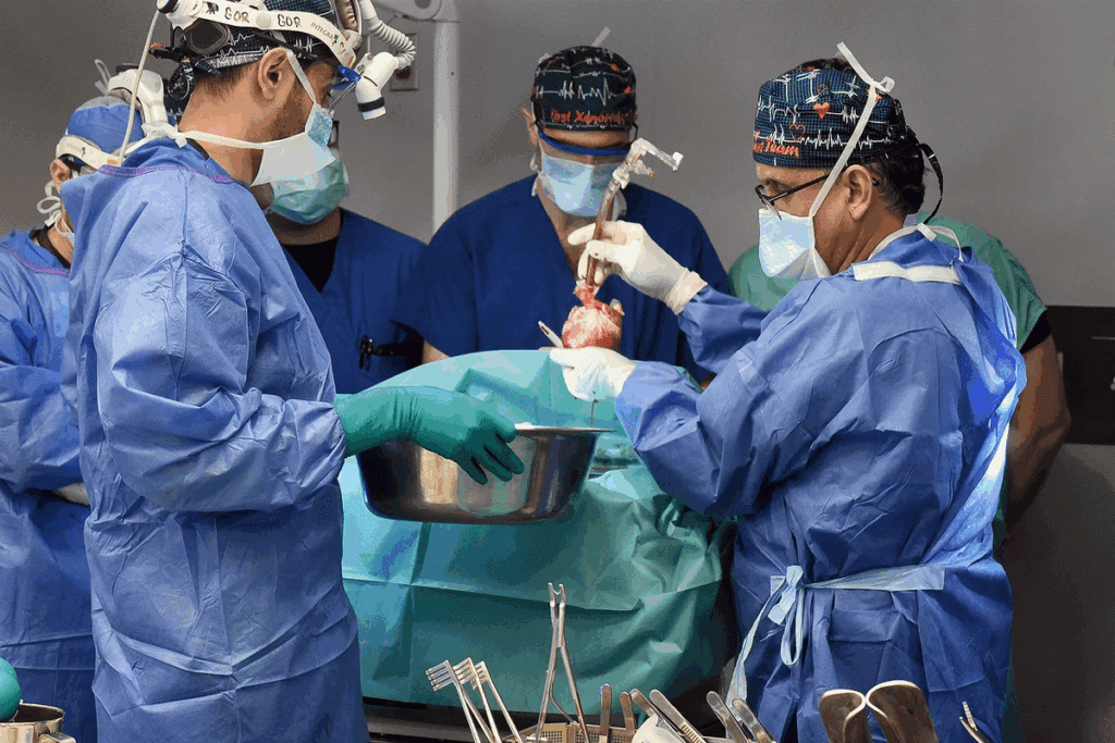 Heart Balloon Procedure: 7 Key Facts