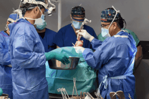 Heart Balloon Procedure: 7 Key Facts
