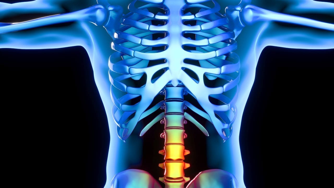 What Is Central Protrusion of Disc? Causes, Symptoms, and Related Types Explained 1 What Is Central Protrusion of Disc? Causes, Symptoms, and Related Types Explained