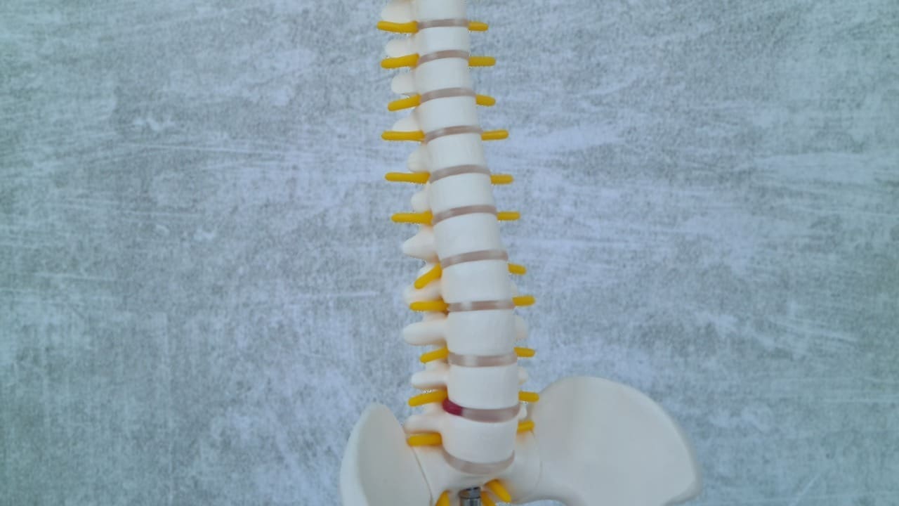 5 Key Facts About Bulging Discs in Your Lower Back: Causes, Symptoms & More 1 5 Key Facts About Bulging Discs in Your Lower Back: Causes, Symptoms & More