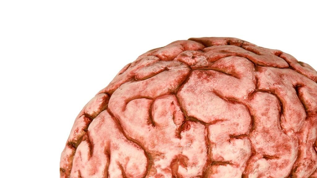 brain cancer mortality rate brain cancer mortality rate