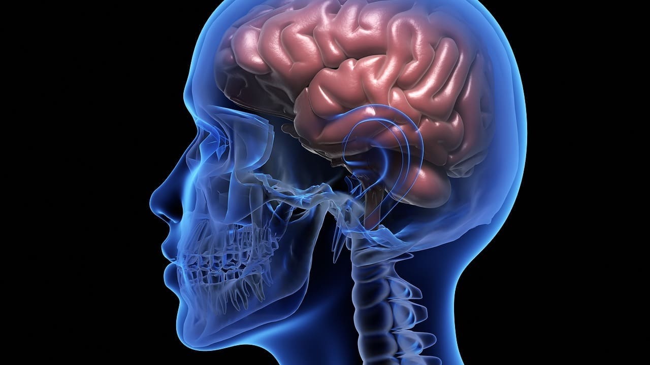 7 Facts About Brain Cancer Survival Rates and Mortality 1 7 Facts About Brain Cancer Survival Rates and Mortality