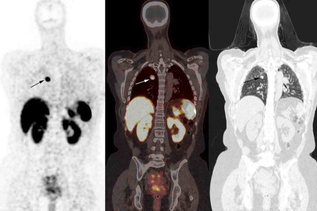 image 7742 LIV Hospital