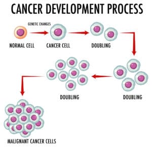 How Fast Does a Benign Tumor Grow—and What Influences Its Growth?