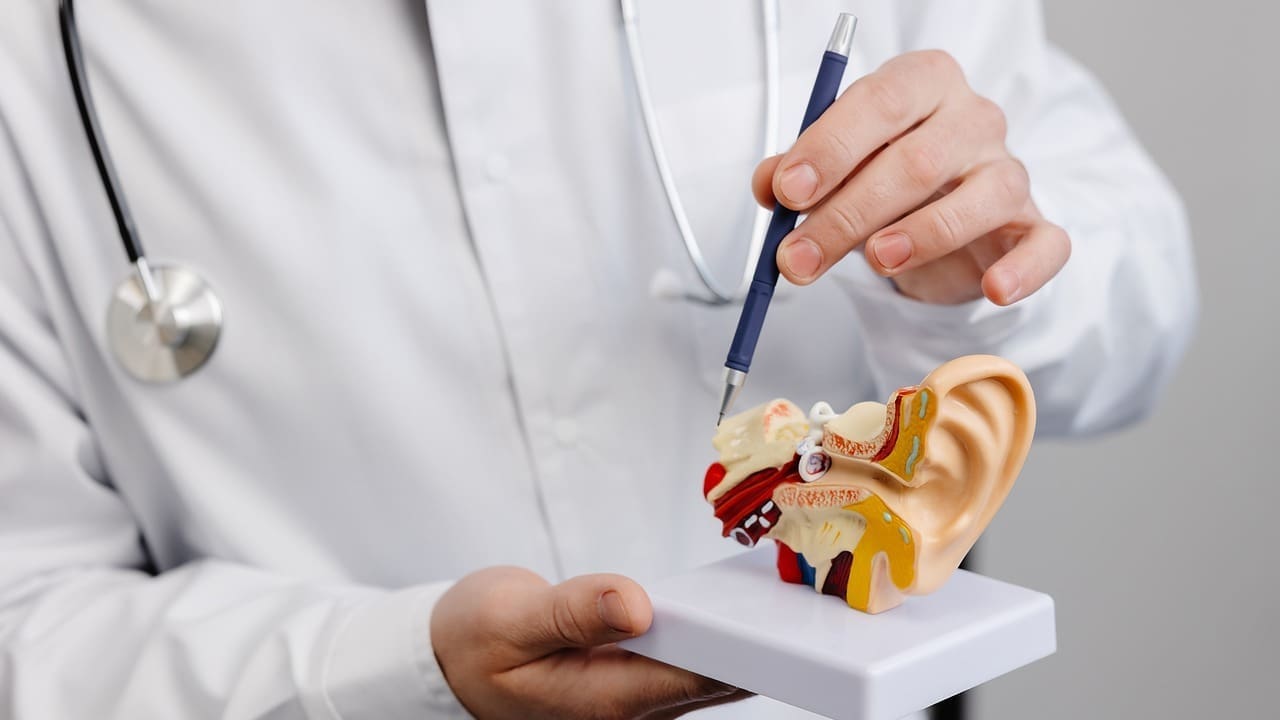 What Is an Acoustic Tumor? Differences Between Acoustic Neuroma and Vestibular Schwannoma Explained 1 What Is an Acoustic Tumor? Differences Between Acoustic Neuroma and Vestibular Schwannoma Explained