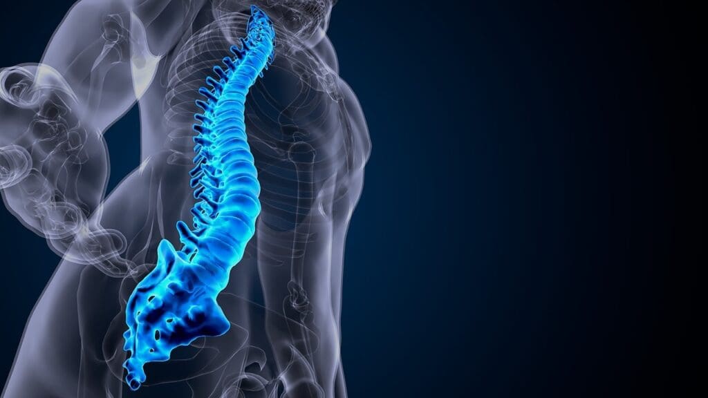 Understanding Lumbar Fusion Understanding Lumbar Fusion