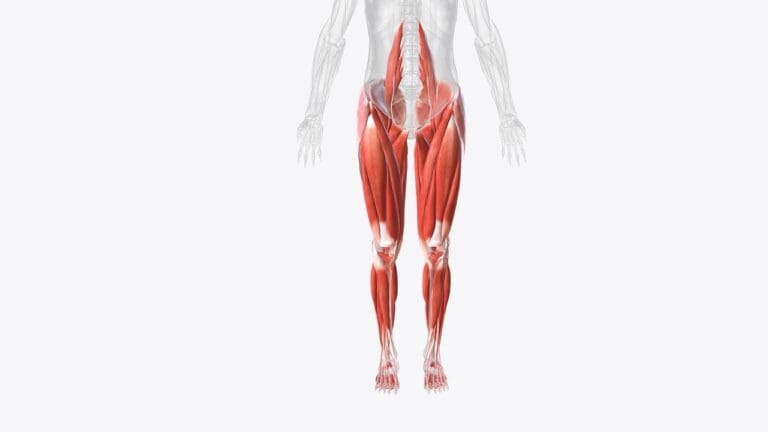 Why Does the Back of My Legs Hurt? Causes and Solutions Explained