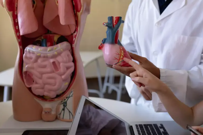 Abdominal Aortic Aneurysm: 10 Key Facts, Symptoms, and Survival Rates