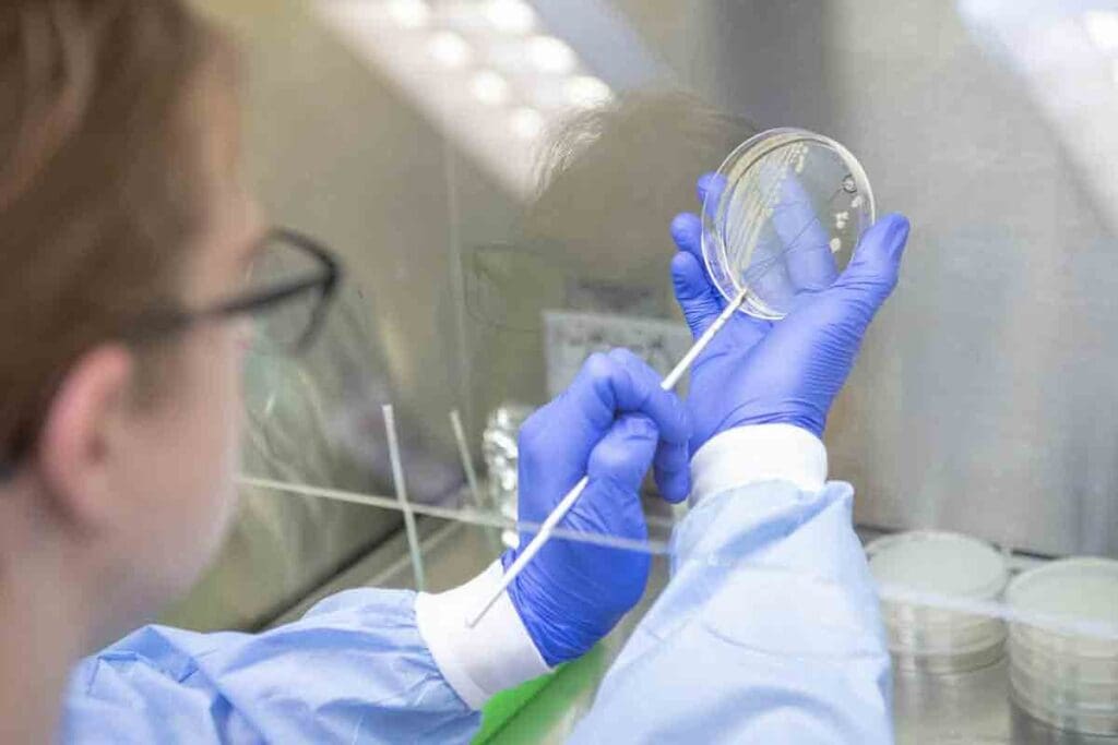 Irregular Blood Cells: 9 Common RBC Morphologies 2 Irregular Blood Cells: 9 Common RBC Morphologies
