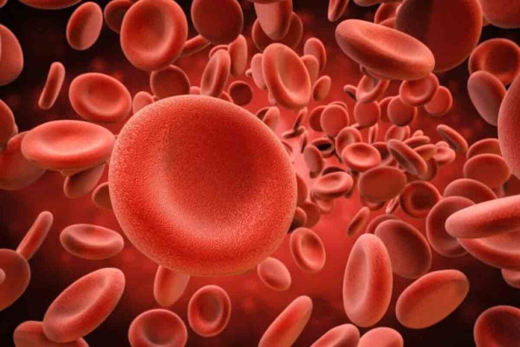 Too Many Red Blood Cells Disorder: Key Symptoms