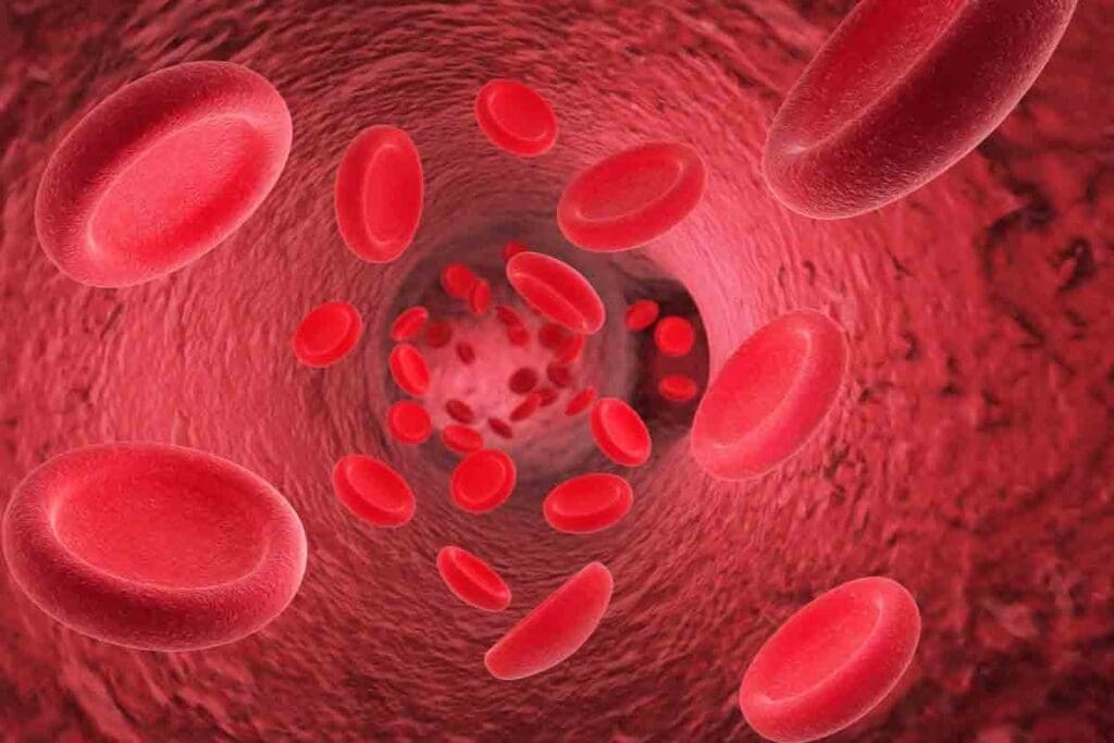 What Does Abnormal Red Blood Cells Mean for Health? 2 What Does Abnormal Red Blood Cells Mean for Health?
