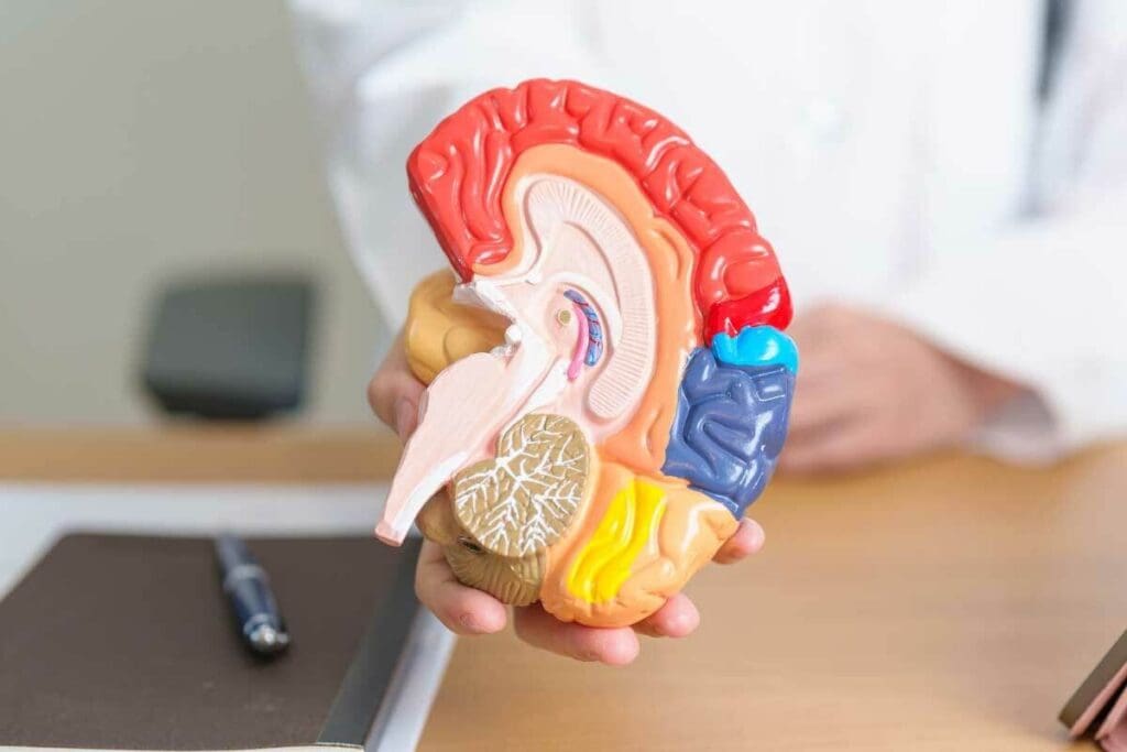 First Symptoms of Brain Tumor: Headache Type and Signs