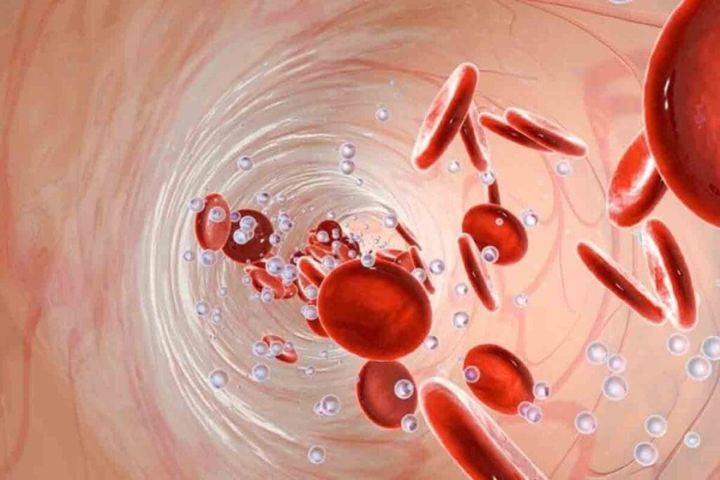 Anemia Autoimmune Disease: Key Causes & Terminology