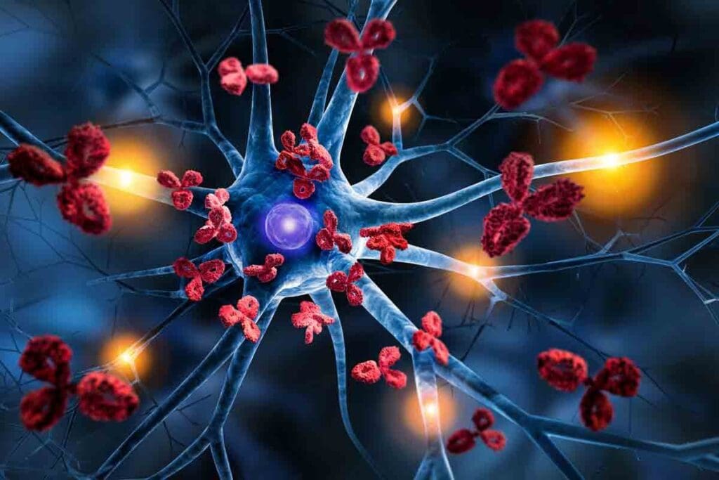 Anemia Autoimmune Disease: Key Causes & Terminology