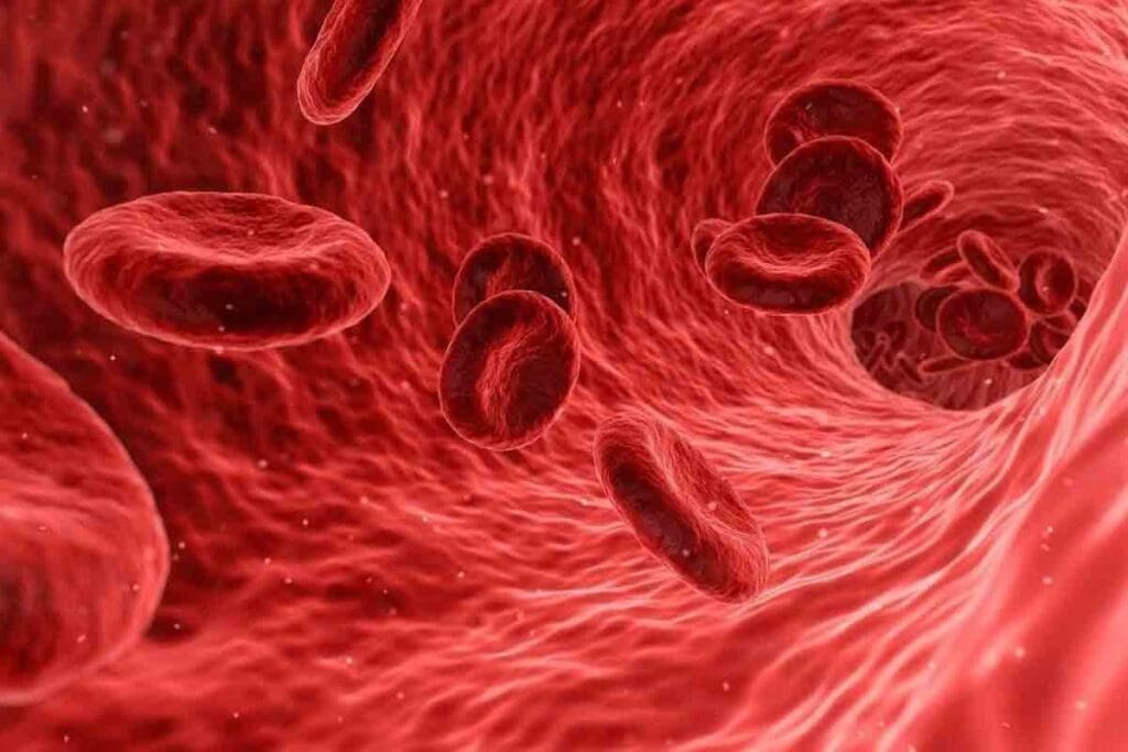 Cancer vs Regular Blood: What Blood Tests Reveal About Risk 1 Cancer vs Regular Blood: What Blood Tests Reveal About Risk