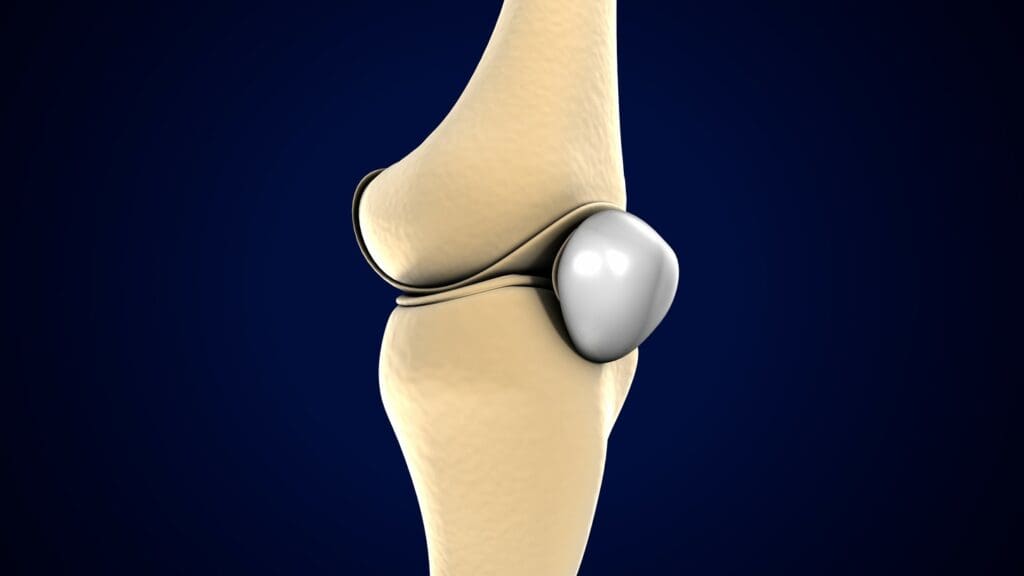 A close-up view of a knee joint