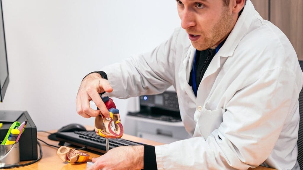 mitral valve anatomy