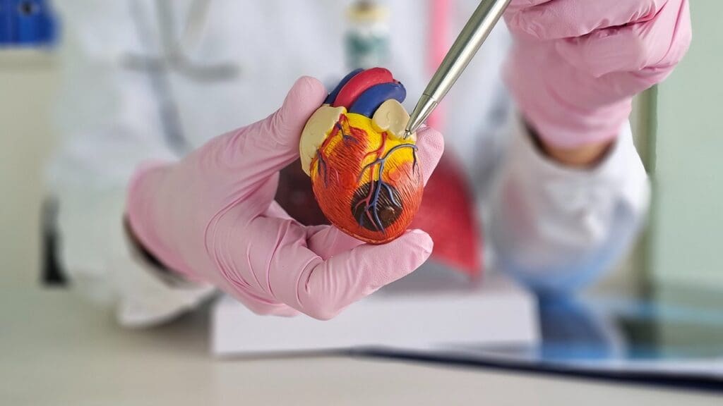 Heart Valve Repair Procedures