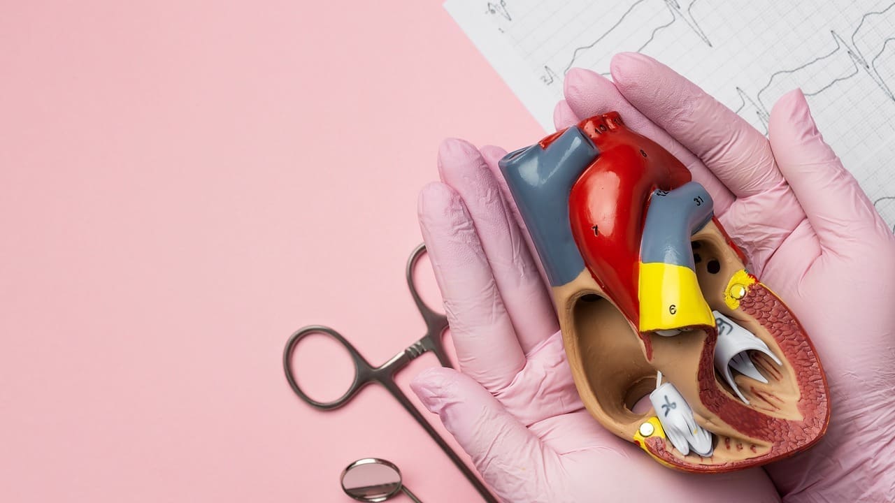 What Is the Heart Valve Repair Procedure and How Does It Differ from Valve Replacement Surg
