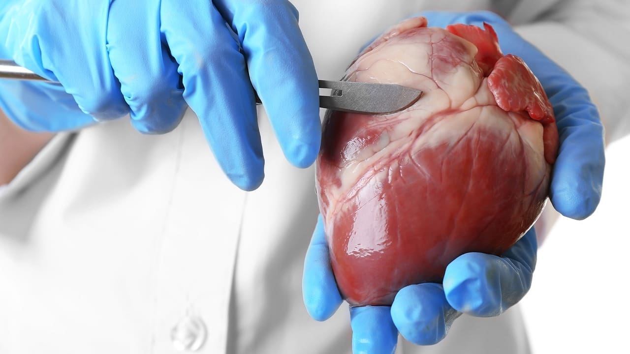 Heart Valve Repair Surgery vs. Replacement: 7 Essential Facts to Know