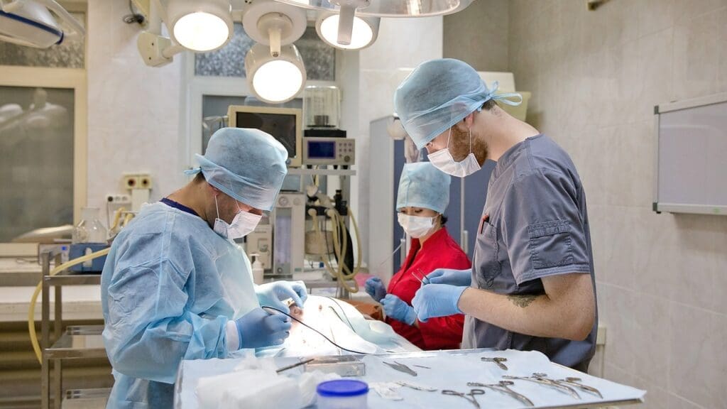 surgeon's daily surgical workload