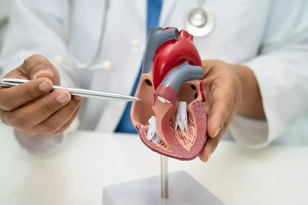 LIMA is Preferred in Over 90% of CABG Procedures