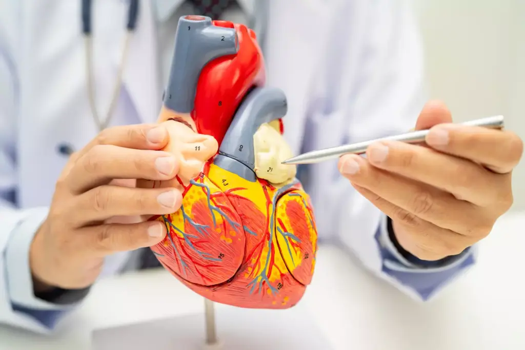 When Is CABG Surgery Necessary?