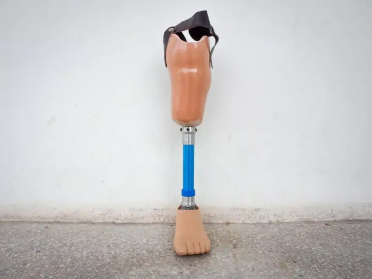 Ceramic Knee Prosthesis: 5 Key Facts About Implants, Materials, and Manufacturers