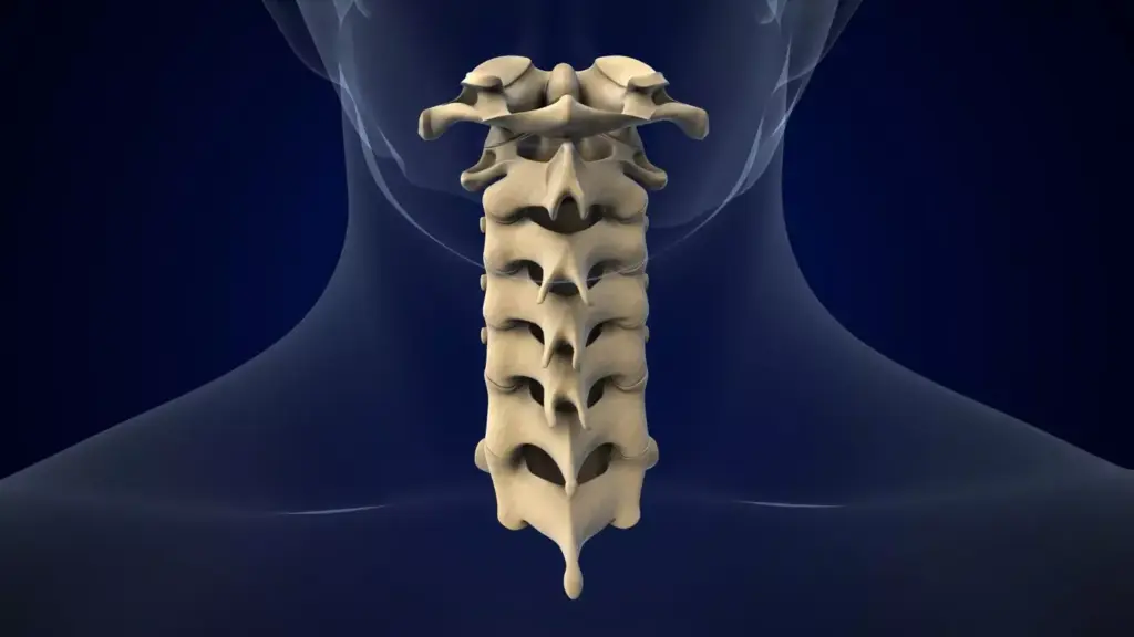 Detailed anatomical rendering of the human cervical spine, showcasing the intricate vertebrae, discs, and surrounding structures. Crisp, high-resolution image captured with a macro lens and soft, directional lighting to emphasize the three-dimensional complexity. The scene is set against a neutral, minimalist background to allow the spinal anatomy to be the primary focus. Rendered with a scientific, educational style to support a comprehensive understanding of the cervical spine's form and function.
