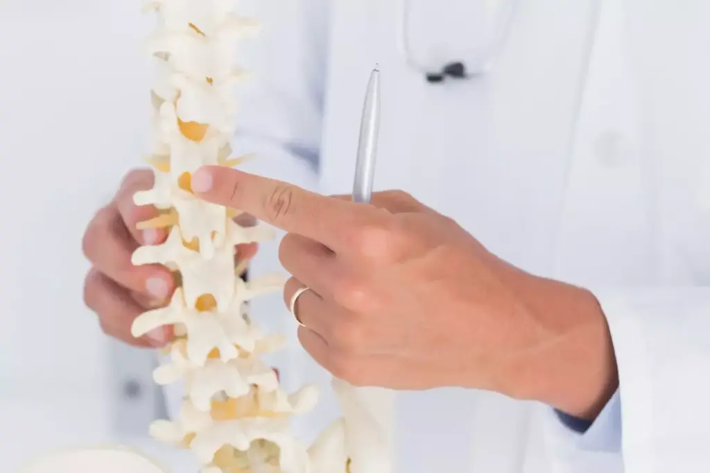 Detailed cross-section of the cervical spine anatomy, showcasing the intricate structure of the vertebrae, intervertebral discs, and surrounding tissues. Rendered in high-resolution with precise anatomical accuracy, highlighting the essential components that enable the neck's range of motion and stability. Soft, indirect lighting illuminates the scene, creating a sense of depth and emphasizing the delicate balance of the cervical region. Captured from a slightly elevated angle to provide a comprehensive view, allowing the viewer to fully appreciate the significance of this critical section of the spinal column.