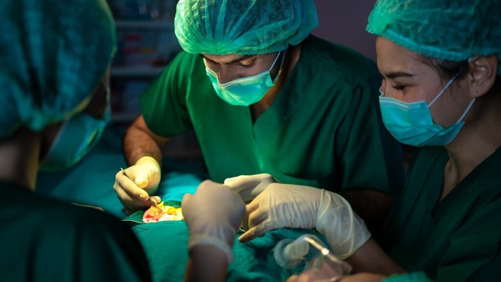 prostatectomy procedure prostatectomy procedure