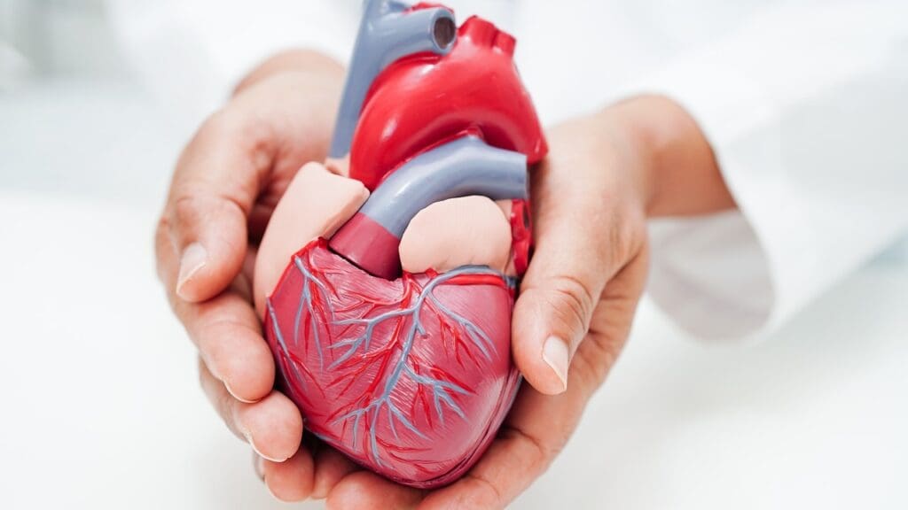 mitral valve disease treatment options