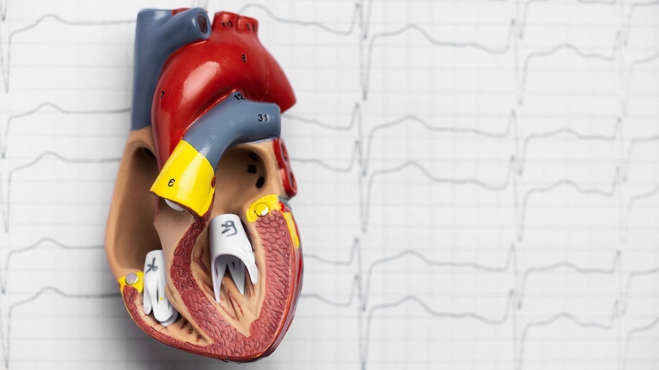 Which Is Better for Mitral Regurgitation: Annuloplasty Ring or Mechanical Valve?