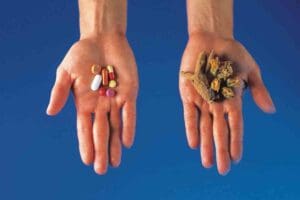 Natural Cures for Leukemia: Effective Remedies and Supportive Treatments