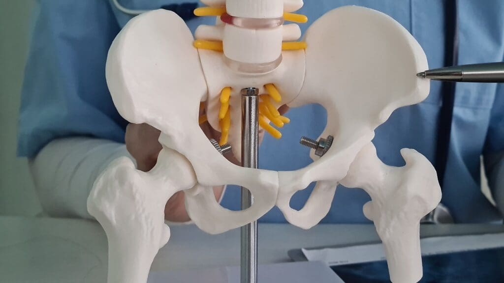 Hip Prosthesis Materials