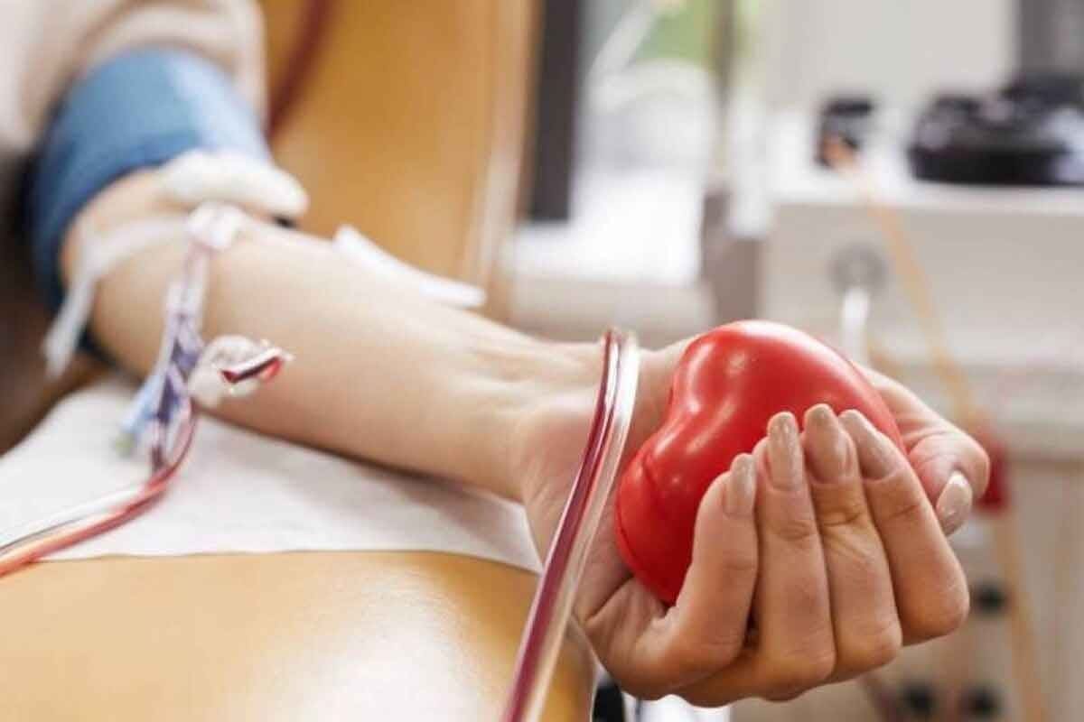 Hemorrhagic Anemias Result From Blood Loss: Vital Facts