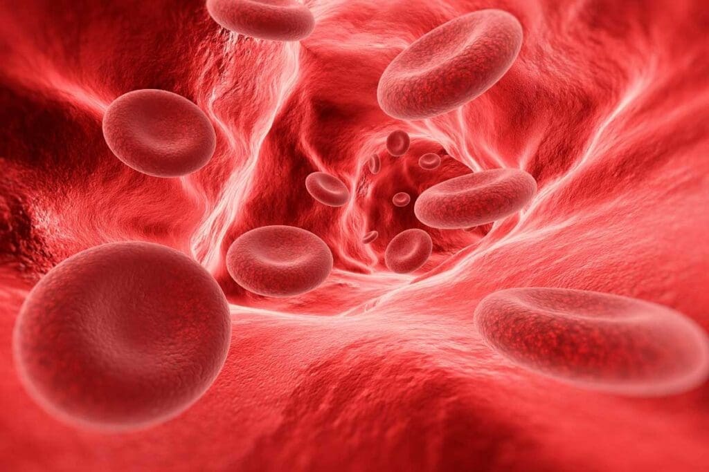 Aplastic Anemia Risk Factors: 7 Key Facts to Know 2 Aplastic Anemia Risk Factors: 7 Key Facts to Know