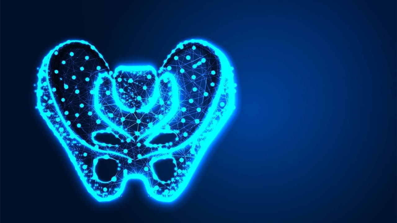 Titanium Artificial Hip: 8 Key Facts About Hip Replacement Materials and Components 1 Titanium Artificial Hip: 8 Key Facts About Hip Replacement Materials and Components