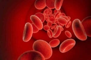 Is hemophilia A or B the royal disease? Hemophilia Disease History