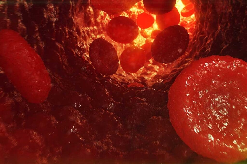 What Happens If My Body Stopped Producing Red Blood Cells: Serious Facts