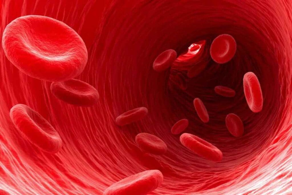 What Happens If My Body Stopped Producing Red Blood Cells: Serious Facts