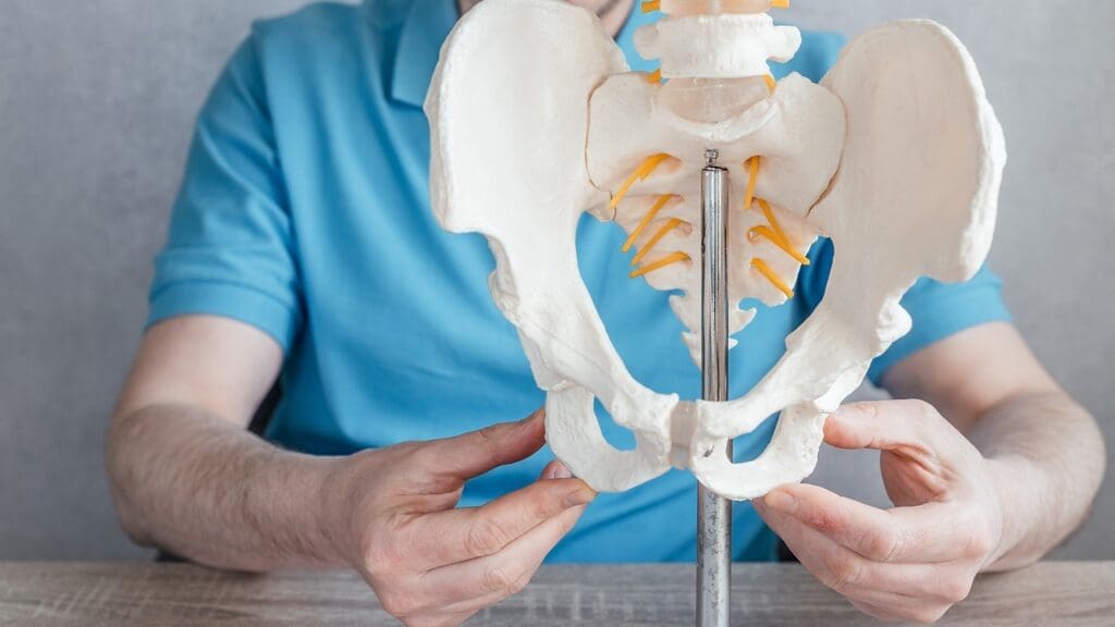 Hip Prosthesis Types