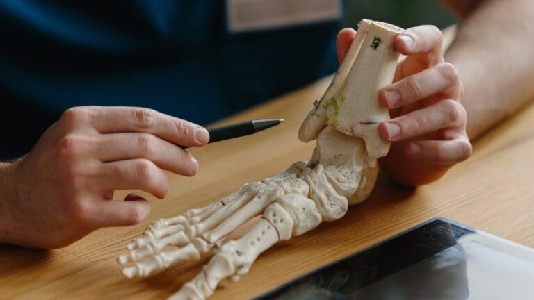 Where Is the Anterior Tibial Tubercle Located and What Is Its Function?