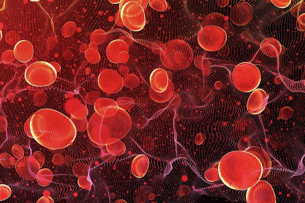 Classes of Blood Cells: 3 Vital Types Explained — Erythrocytes, Leukocytes, and Thrombocytes