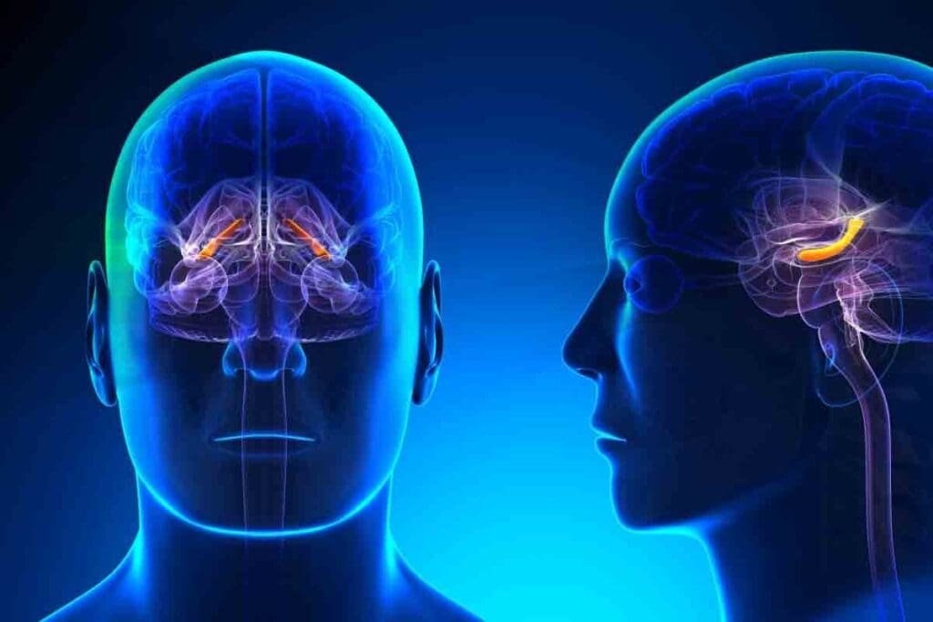 image 5046 LIV Hospital