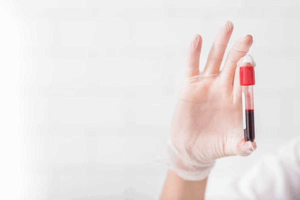 Where Is Bone Marrow Found and What Are the Two Types?