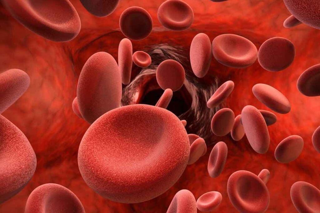 10 Common Blood Diseases and Disorders: Quick Facts and Symptoms 3 10 Common Blood Diseases and Disorders: Quick Facts and Symptoms