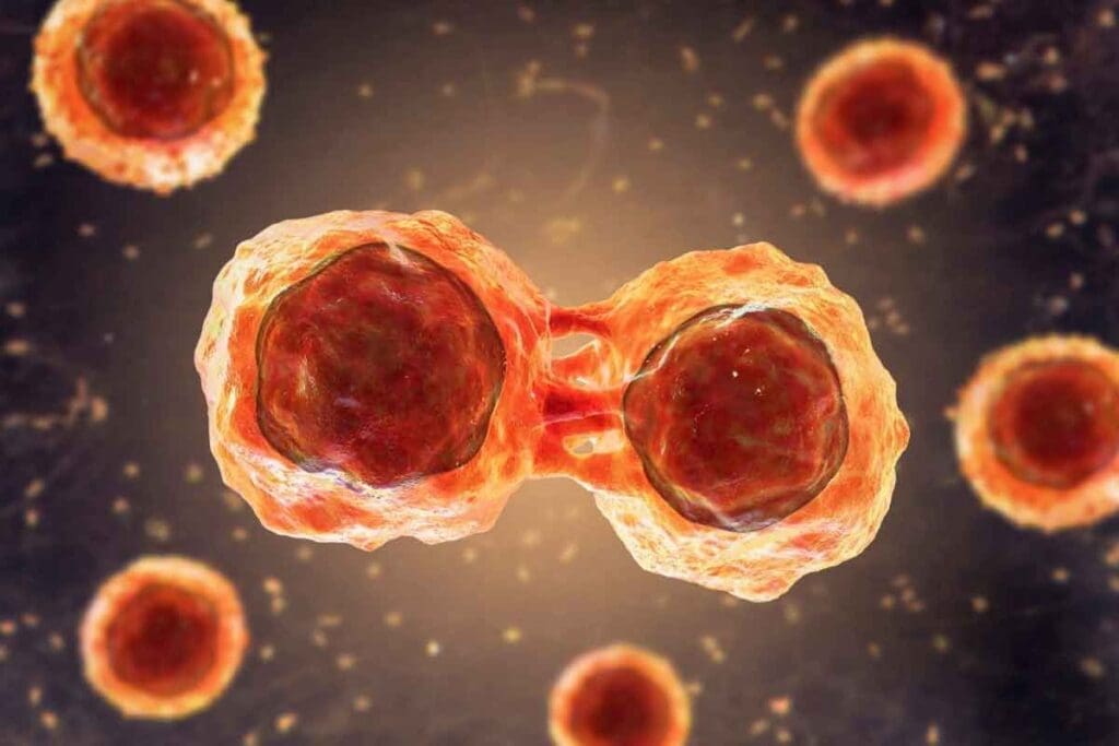 7 Key Stages of Stem Cell Transplant Recovery: What to Expect at Each Step 2 7 Key Stages of Stem Cell Transplant Recovery: What to Expect at Each Step