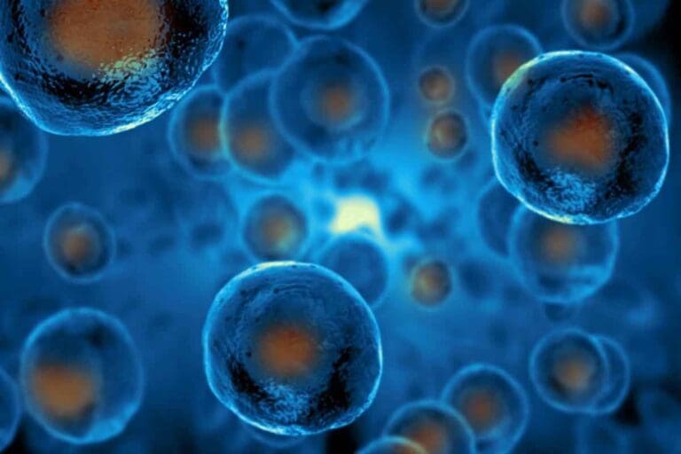 What are the long-term side effects of stem cell therapy?